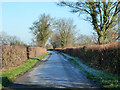 Lane towards Taverners Green