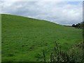 Hilly grazing near Gildwells Farm