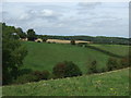 River Poulter Valley, Upper Langwith