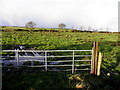 A muddy field, Tullymoan