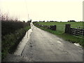 Rabstown Road, Kennystown / Scotstown