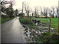 Road at Rabstown