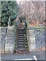 Steps - Lower Brockwell Lane