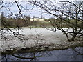 Frosty haugh by the River Irthing