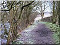 Path by the River Irthing