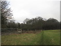 Footpath entering woodland at Pebley Oaks