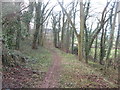 Footpath through the woods at Oxcroft