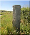 Milestone near Mana Butts