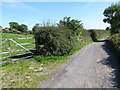 View north-westwards along Loughaveely Road