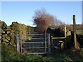 Old lane through Moneystone