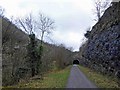 SK1272 : The Eastern portal entrance to Rusher cutting tunnel by Steve  Fareham