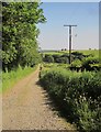 SX4878 : Track to Kilworthy Cottages by Derek Harper