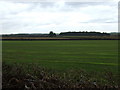 SK5172 : Crop field off Oxpasture Lane by JThomas
