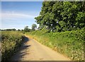 Lane from Devon Great Consols mine