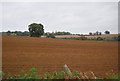 Field, Fynn Valley