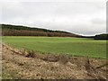 NU0534 : Arable land south west of Cockenheugh by Graham Robson