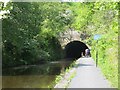 Eastern portal, Falkirk Tunnel