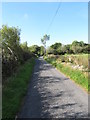 View north-westwards along a straight section of the Lurgancullenboy Road