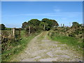 Farm access road leading from the Lurgancullenboy Road