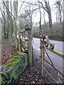 Gap-stile at Branch Road on a branch of Ripponden FP75