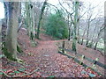 Footpath through Zechariah Wood