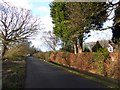 Bat House Road, Painshawfield