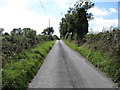 View SSW along Leeter Road, Glasdrumman