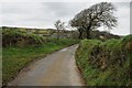 Country road approaching Boswiddle