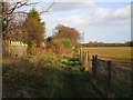 Footpath at Blaxton