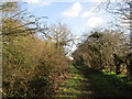 Footpath on the edge of Finningley