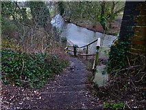 SU6016 : Steps down from Meon Valley Trail to River Meon by Shazz
