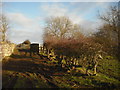 Railway bridge north-west of Long Marton