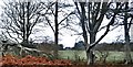 Boulston Manor from the Derelict Church