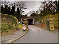 Gate Piers and Darley Park Bridge