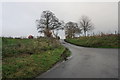 Track to Withgill Farm