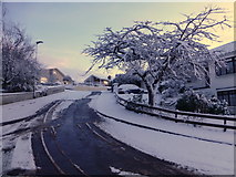 H4672 : Wintry, Knockgreenan Avenue, Omagh by Kenneth  Allen