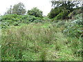 Rough grazing land on the north side of Polkone Road