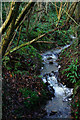 Stream at Pell Bridge