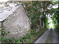 The ruined outbuildings of a farmhouse on Drumalt Road