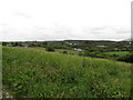 View across farmland to houses on Drumalt Road