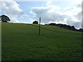 Hillside grazing, Birleyhay