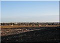 Across Fulbourn from Mill Hill