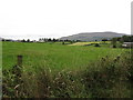 View east across farmland from the Cranny Road junction