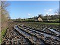 Very horrible muddy field, Milcombe Farm