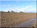 ST5115 : Very muddy field near Odcombe by Becky Williamson