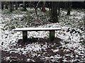 A snow covered seat in the Wyre Forest, near Buttonoak