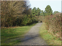 SU8262 : Path beside the railway by Alan Hunt