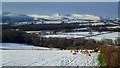 SO1328 : View over the upper Llynfi valley, 2 by Jonathan Billinger