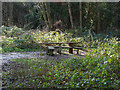 SU8262 : Picnic table, Ambarrow Court by Alan Hunt