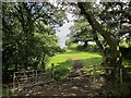 Path to Lapford Cross